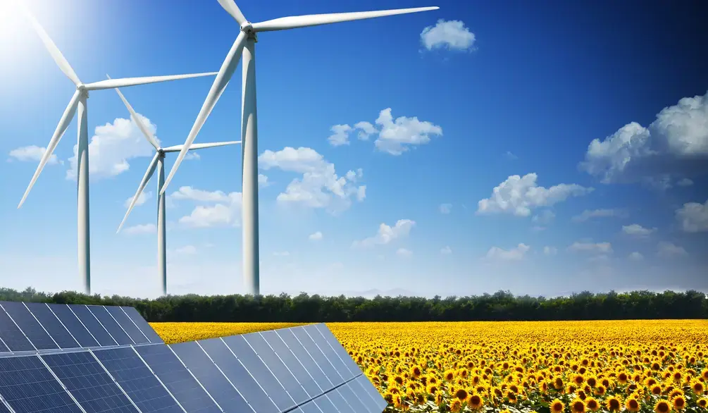 What is Renewable Energy Engineering