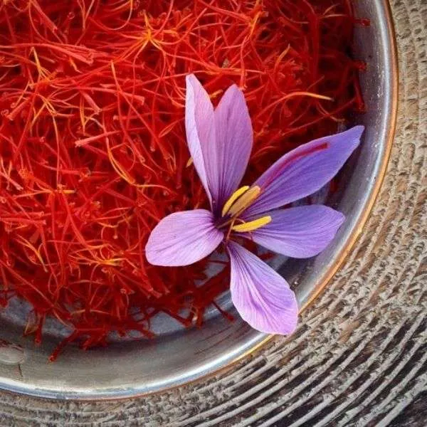 Organic Saffron